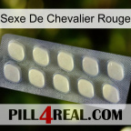 Red Knight Sex 08
